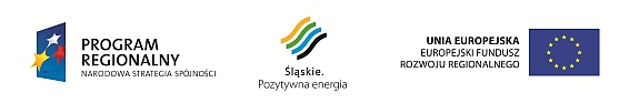Strona projektu <strong>"Infrastruktura okoolotniskowa Midzynarodowego Portu Lotniczego w Pyrzowicach